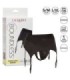 CALEXOTICS - BOUNDLESS ARNÉS TANGA CON LIGUERO L/XL