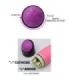 BAILE - COLORFUL SEX VIBRADOR REALÍSTICO ROSA 23 CM
