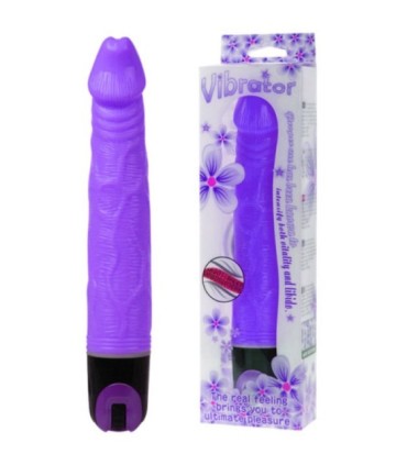 BAILE - VIBRATOR MULTISPEED 21.5 CM MORADO
