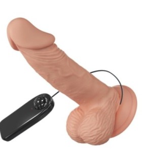 BAILE - BEAUTIFUL ENCOUNTER ZEBULON VIBRACIÓN 19.4 CM NATURAL