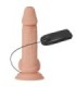 BAILE - BEAUTIFUL ENCOUNTER ZEBULON VIBRACIÓN 19.4 CM NATURAL