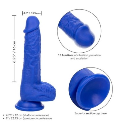 CALEXOTICS - ADMIRAL SAILOR DILDO REALÍSTICO VIBRADOR AZUL