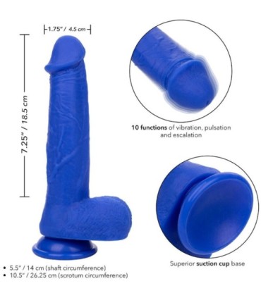CALEXOTICS - ADMIRAL CAPTAIN DILDO REALÍSTICO VIBRADOR AZUL