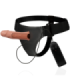HARNESS ATTRACTION - ARNÉS  HUECO GREGORY CON VIBRADOR 16.5 CM -O- 4.3 CM