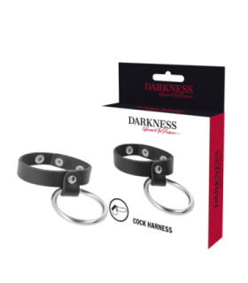 DARKNESS - ANILLO DE METAL PARA EL PENE Y TESTÍCULOS