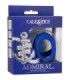 CALEXOTICS - ADMIRAL COCK BALL DOBLE ANILLO AZUL