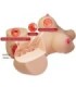 CRAZY BULL - EMMA TORSO FEMENINO REALISTA VAGINA Y ANAL 4.8 KG