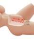 CRAZY BULL - LILY TORSO FEMENINO REALISTA VAGINA Y ANAL 4 KG