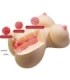 CRAZY BULL - FIONA TORSO FEMENINO REALISTA VAGINA Y ANAL 7.1 KG