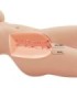 CRAZY BULL - TIFFANY TORSO FEMENINO REALISTA VAGINA Y ANAL 5.5 KG