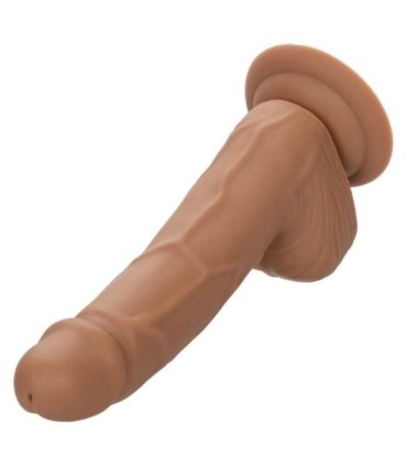 CALEXOTICS - SILICONE STUDS 15.24 CM BROWN