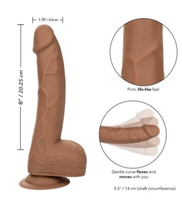 CALEXOTICS - SILICONE STUDS 20.32 CM BROWN