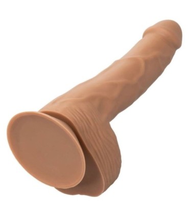 CALEXOTICS - SILICONE STUDS 20.32 CM BROWN