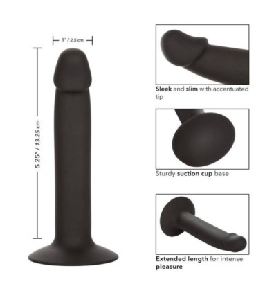 CALEXOTICS - SLIM ANAL STUD