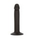 CALEXOTICS - SLIM ANAL STUD