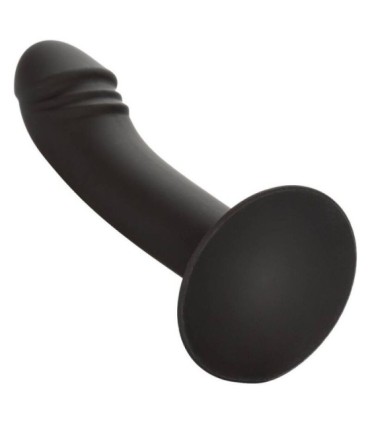 CALEXOTICS - CURVED ANAL STUD