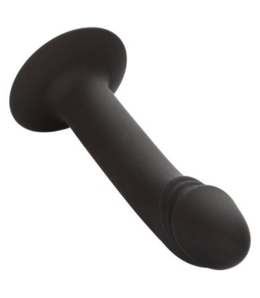 CALEXOTICS - CURVED ANAL STUD