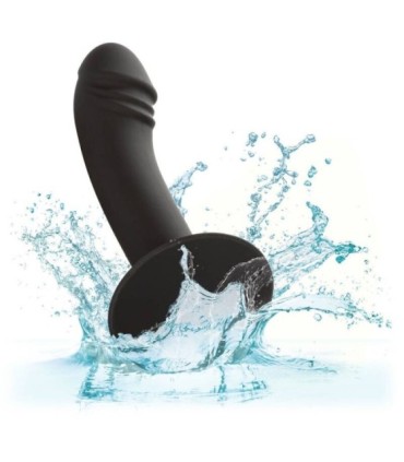 CALEXOTICS - CURVED ANAL STUD