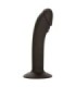 CALEXOTICS - CURVED ANAL STUD