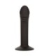 CALEXOTICS - CURVED ANAL STUD