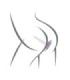 ROCKS- OFF - PETITE SENSATIONS TEAZER PLUG ANAL VIBRADOR NEGRO