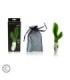 PRETTY LOVE - FLIRTATION VIBRADOR OWEN VERDE