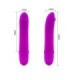 PRETTY LOVE - FLIRTATION VIBRADOR BECK