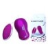 PRETTY LOVE - FLIRTATION HUEVO VIBRADOR CON CONTROL REMOTO AVERY
