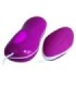 PRETTY LOVE - FLIRTATION HUEVO VIBRADOR CON CONTROL REMOTO AVERY