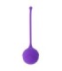 INTENSE - KISHA FIT ONE SILICONE KEGEL LILA