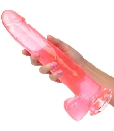 CALEXOTICS - SIZE QUEEN DILDO ROSA 25.5 CM