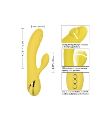 CALEXOTICS - SAN DIEGO SEDUCTION