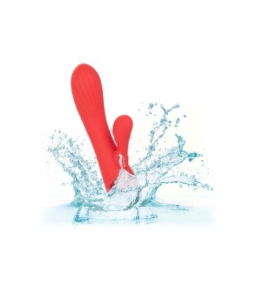 CALEXOTICS - PALISADES PASSION RED