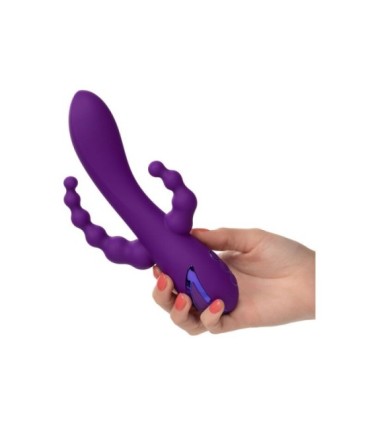 CALEXOTICS - LONG BEACH BOOTYLICIOUS PURPLE