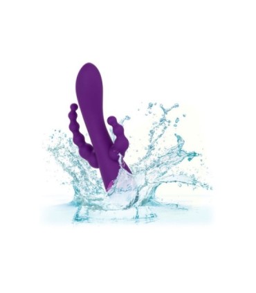 CALEXOTICS - LONG BEACH BOOTYLICIOUS PURPLE