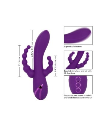 CALEXOTICS - LONG BEACH BOOTYLICIOUS PURPLE