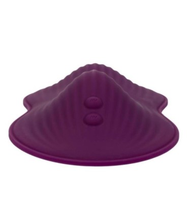 CALEXOTICS - REMOTE CONTROL DUAL RIDER