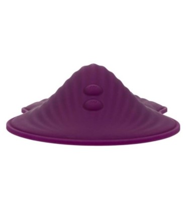 CALEXOTICS - REMOTE CONTROL DUAL RIDER