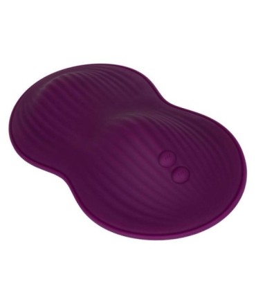 CALEXOTICS - REMOTE CONTROL DUAL RIDER