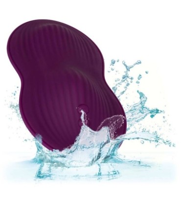 CALEXOTICS - REMOTE CONTROL DUAL RIDER