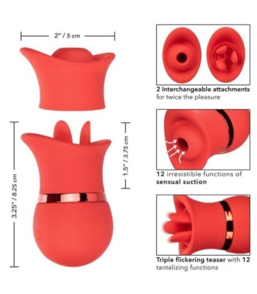 CALEXOTICS - FRENCH KISS SUCK & PLAY SET