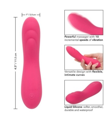 CALEXOTICS - PIXIES RIPPLE ROSA