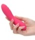 CALEXOTICS - PIXIES RIPPLE ROSA