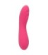 CALEXOTICS - PIXIES RIPPLE ROSA