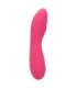 CALEXOTICS - PIXIES RIPPLE ROSA