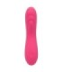 CALEXOTICS - PIXIES RIPPLE ROSA