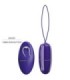 PRETTY LOVE - SELKIE YOUTH MINI HUEVO VIBRADOR CONTROL REMOTO VIOLETA