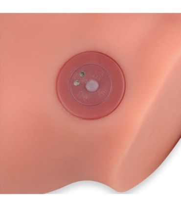 XISE - FREDERICO MASTURBADOR DILDO REALÍSTICO POSICIÓN FRONTAL CON THRUSTING 15 CM