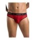 PASSION - 031 SLIP MIKE ROJO S/M