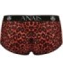ANAIS MEN - TRIBAL BRIEF M